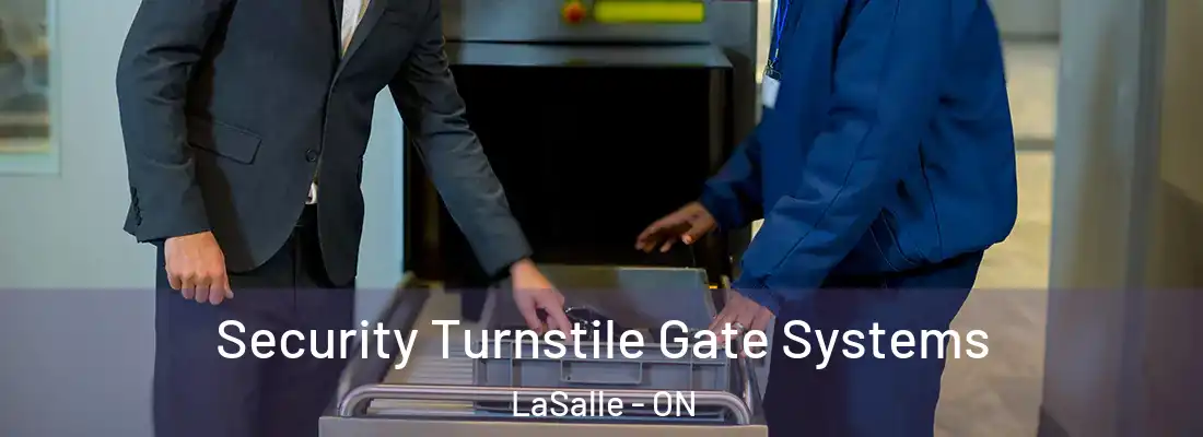  Security Turnstile Gate Systems LaSalle - ON