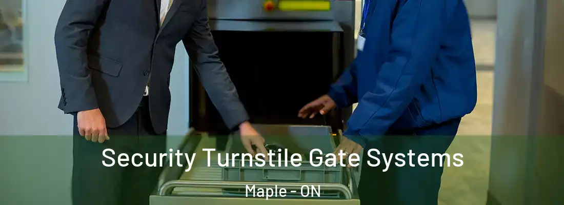  Security Turnstile Gate Systems Maple - ON