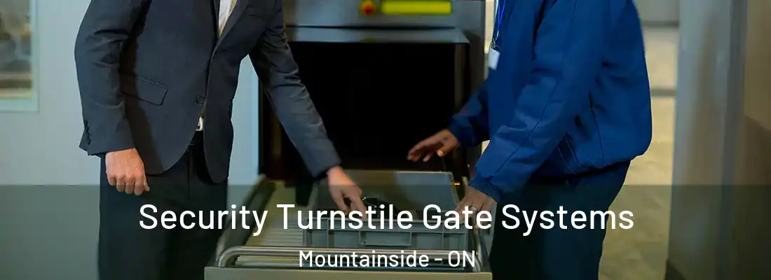  Security Turnstile Gate Systems Mountainside - ON