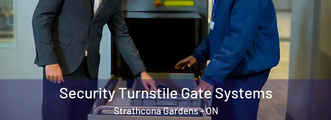  Security Turnstile Gate Systems Strathcona Gardens - ON
