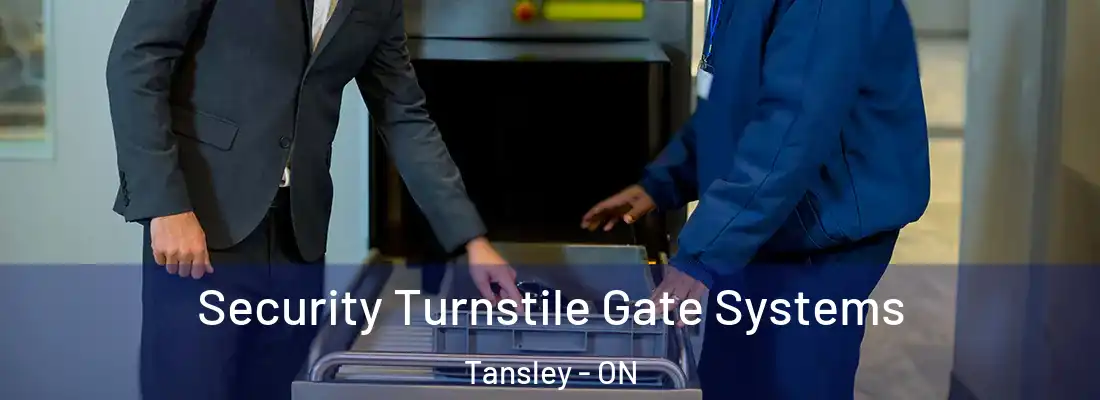  Security Turnstile Gate Systems Tansley - ON
