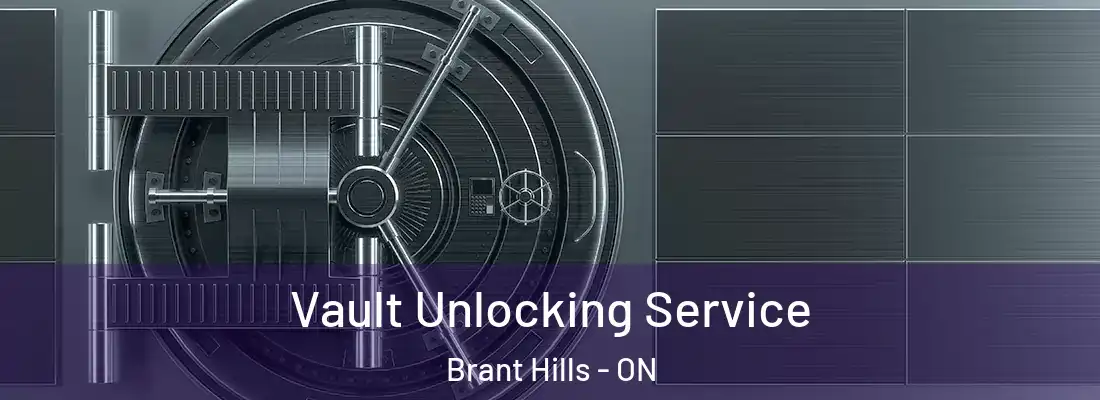  Vault Unlocking Service Brant Hills - ON